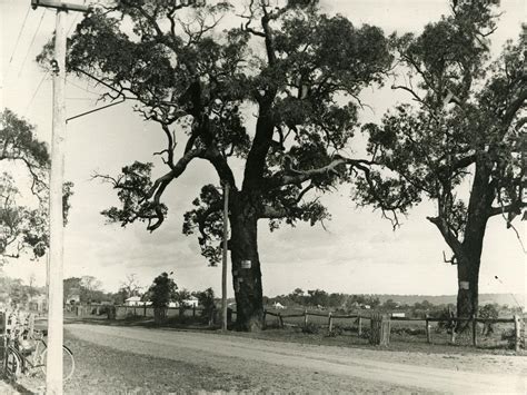 south perth intramaps